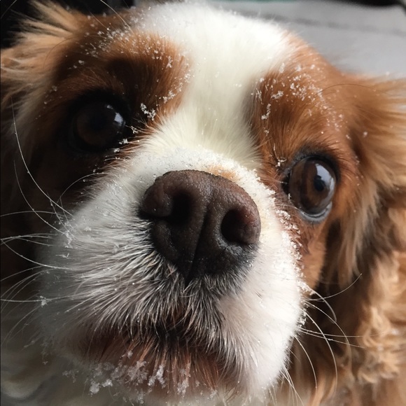 Meet your Posher, Julia - Picture 1 of 1